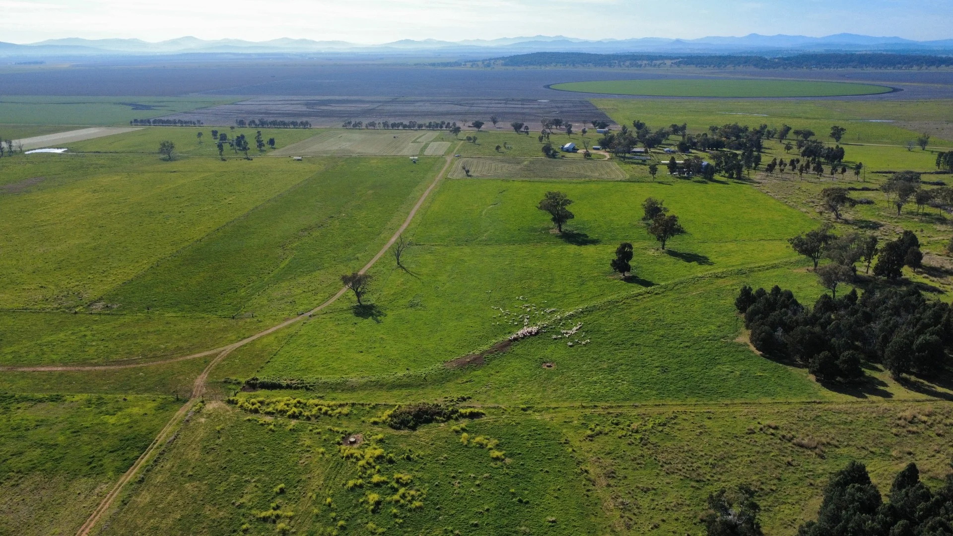 "Glenaladale" 167 Mooki Springs Road, Quirindi NSW 2343