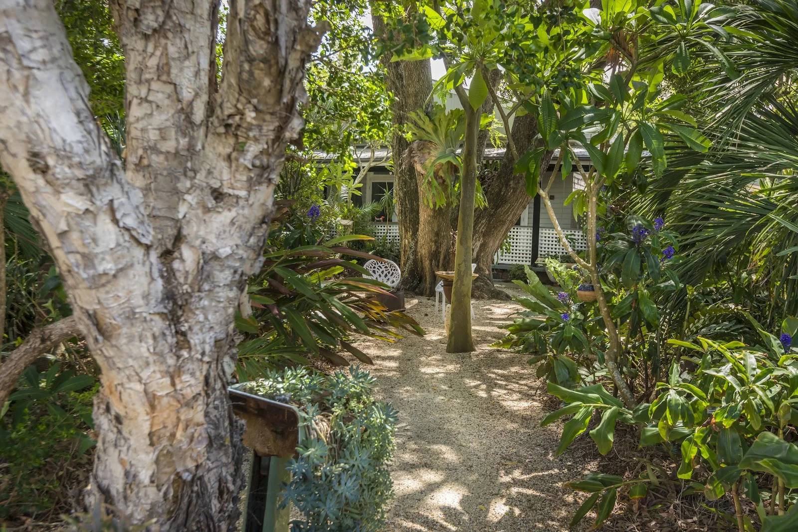 Additional image 24 of 38 River Drive, East Wardell NSW 2477