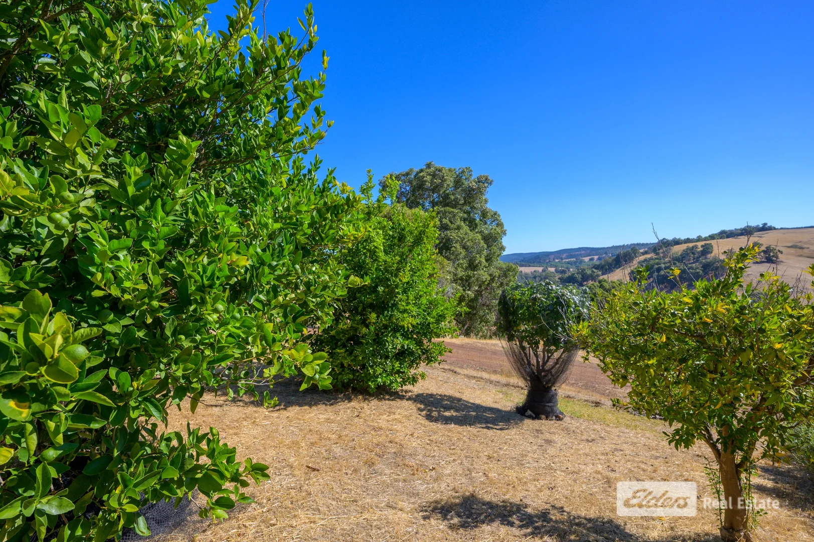 Additional image 38 of 93 Balingup-Nannup Road, Balingup WA 6253