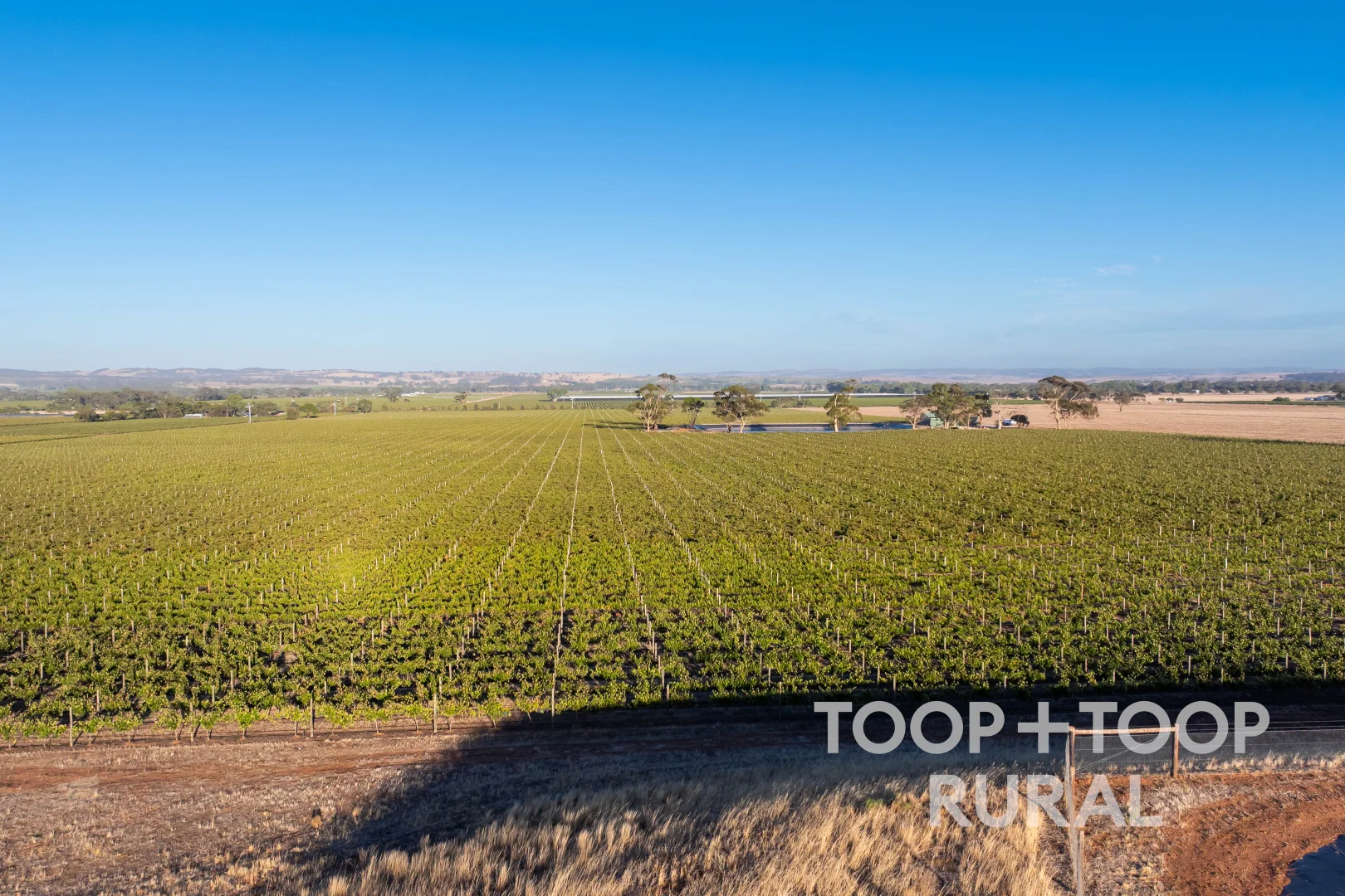 Additional image 21 of 1404 Research Road, Ebenezer SA 5355