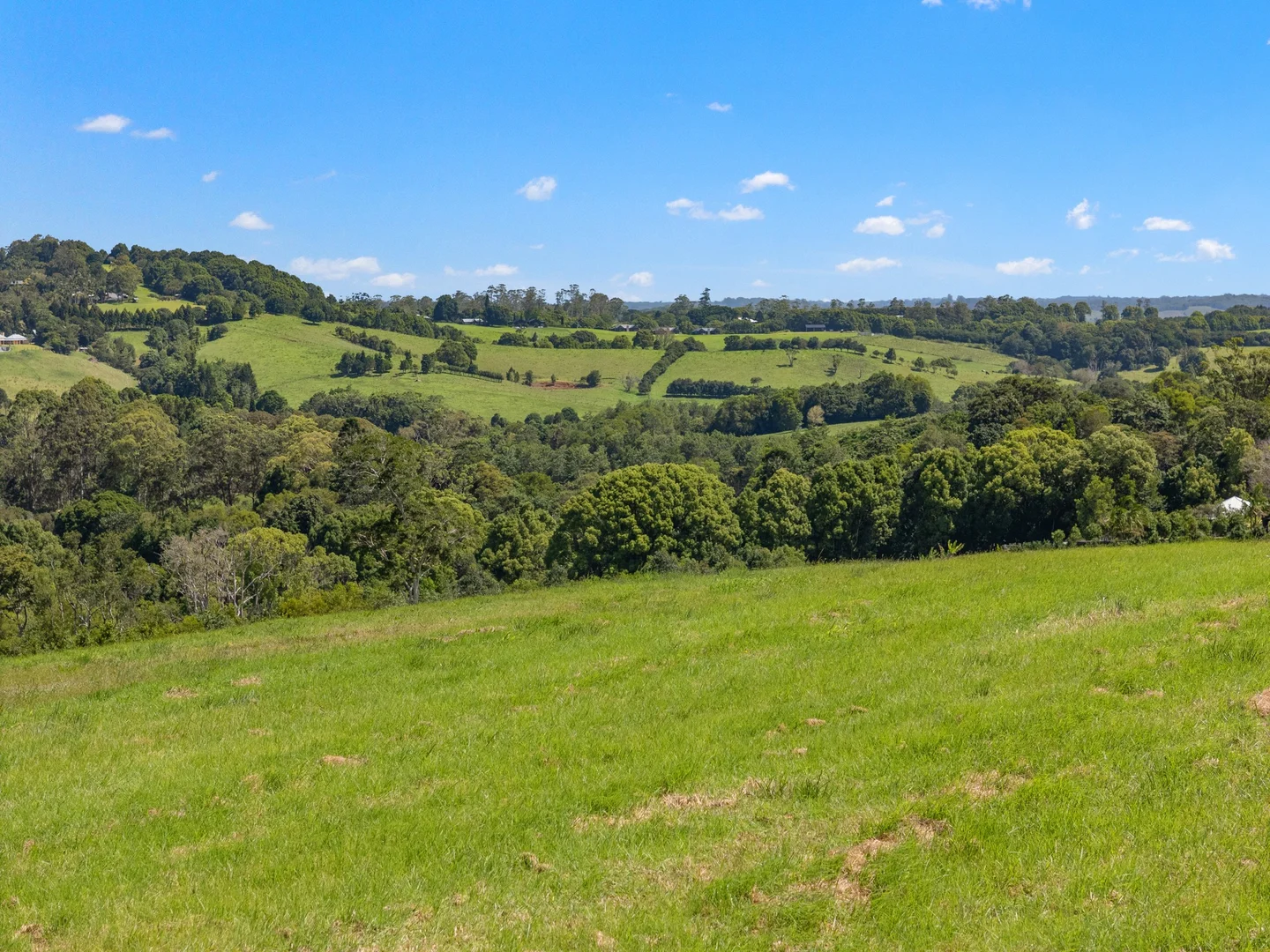 Additional image 26 of 1141 Friday Hut Road, Binna Burra NSW 2479