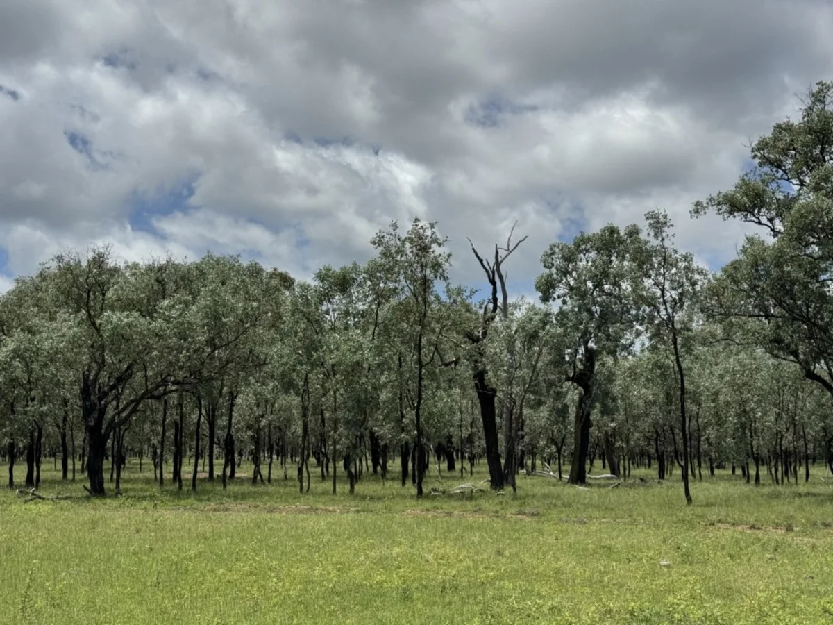 Additional image 24 of 2655 Clonmel Road, Monto QLD 4630