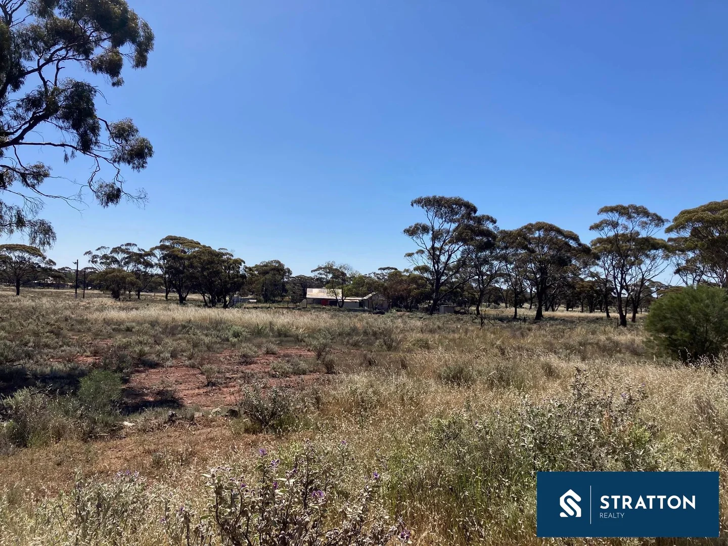 Additional image 5 of 42 West Street, Bullfinch WA 6484