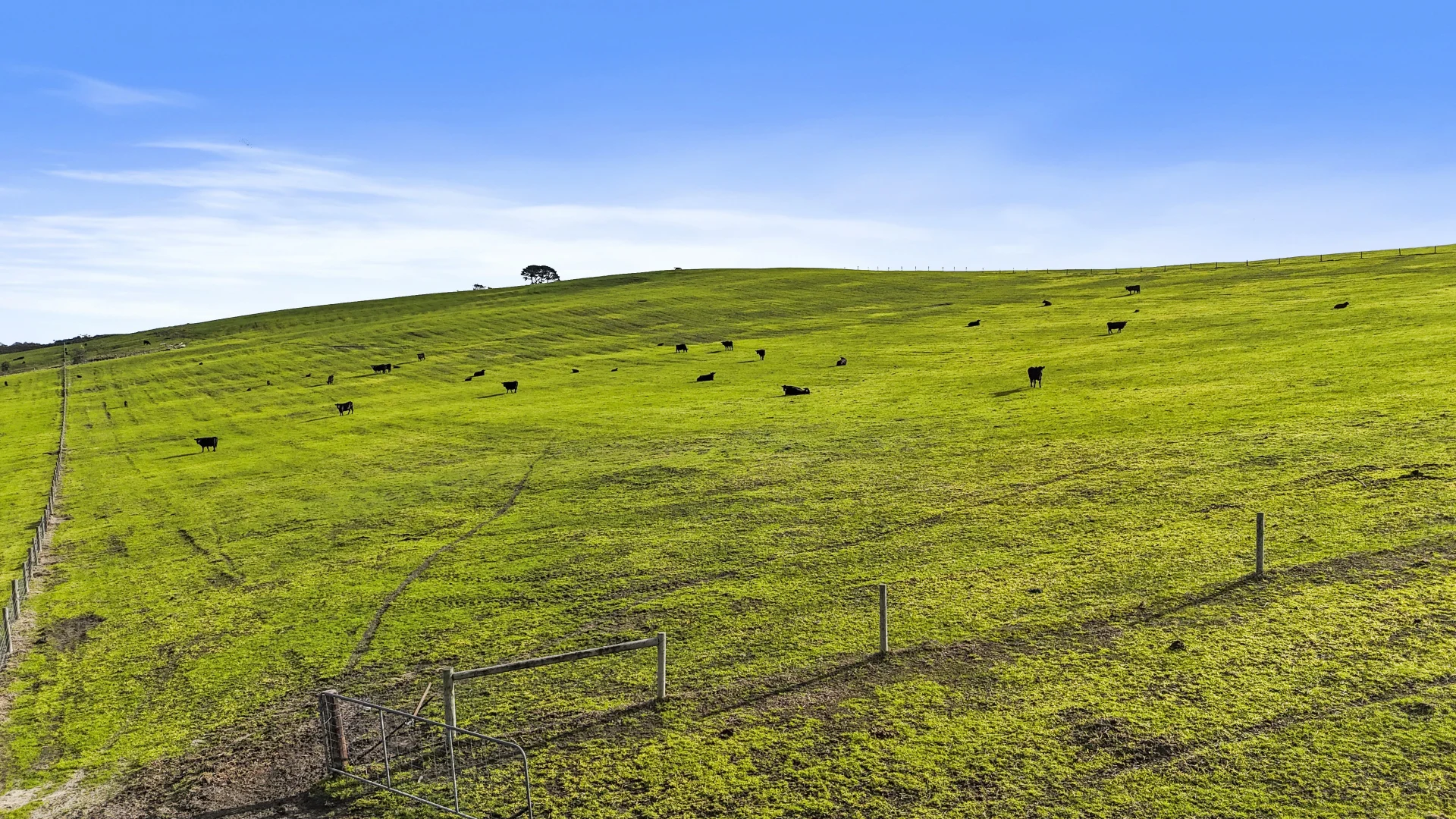 Additional image 33 of 784 Back Valley Road, Back Valley SA 5211