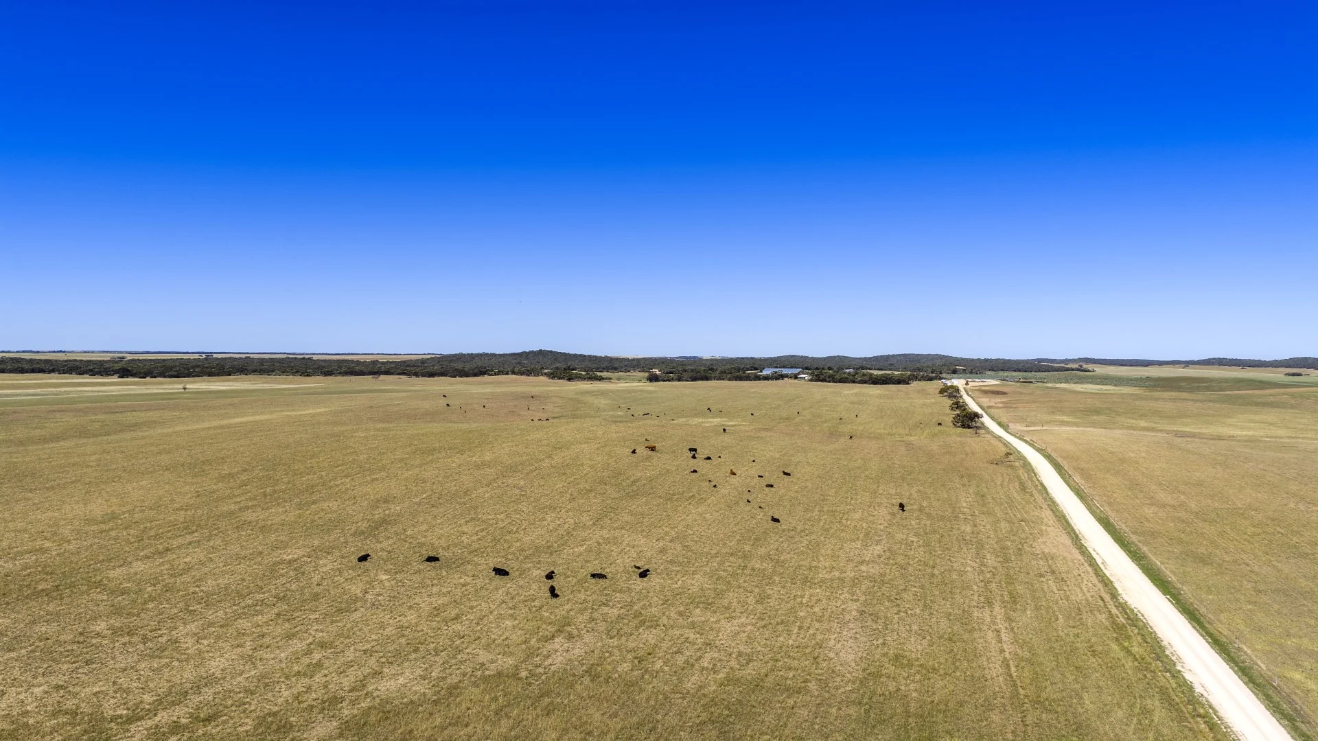 Additional image 31 of 1156 Parrakie North Road, Lameroo SA 5302