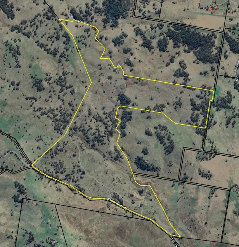 Additional image 3 of "Glenroy" Corrowong Road, Delegate NSW 2633