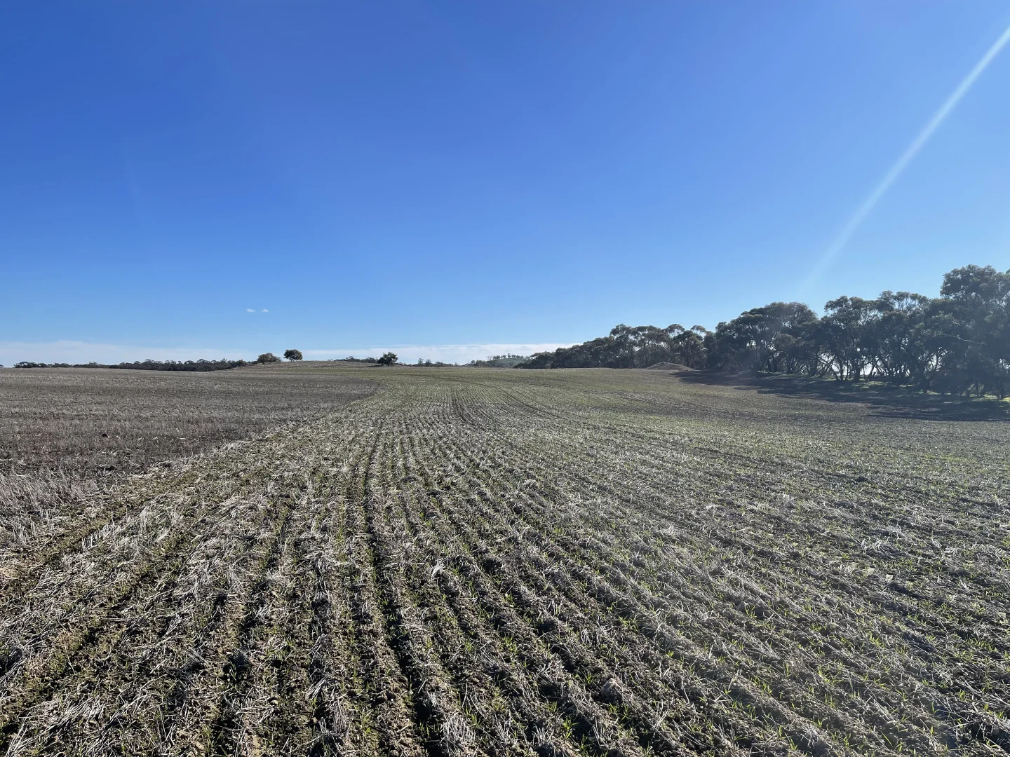 Additional image 12 of 54/54 Calder Highway, Wedderburn VIC 3518