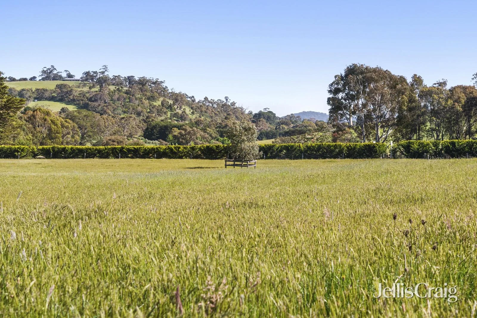 Additional image 30 of Lesmurdie Park 1265 Rochford Road, Newham VIC 3442