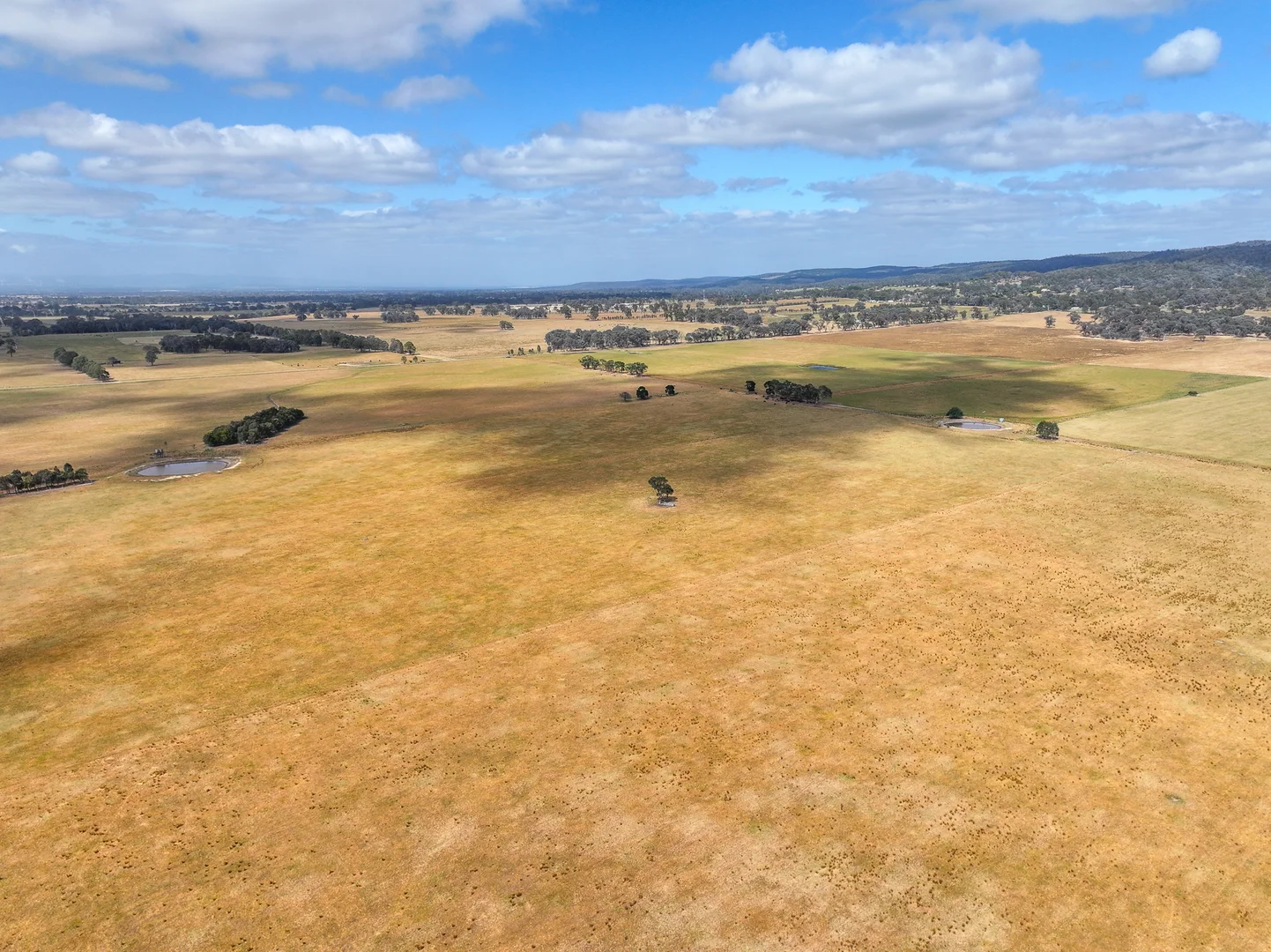 Additional image 27 of 480 Toongabbie Cowwarr Road, Cowwarr VIC 3857