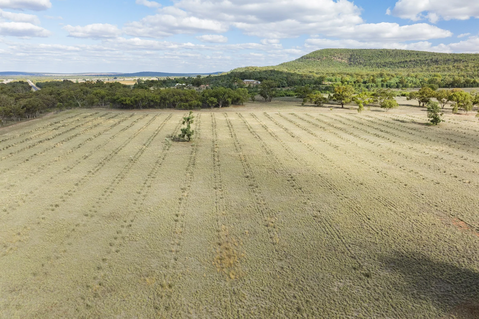 Additional image 9 of 431 The Springs Road, Rankins Springs NSW 2669