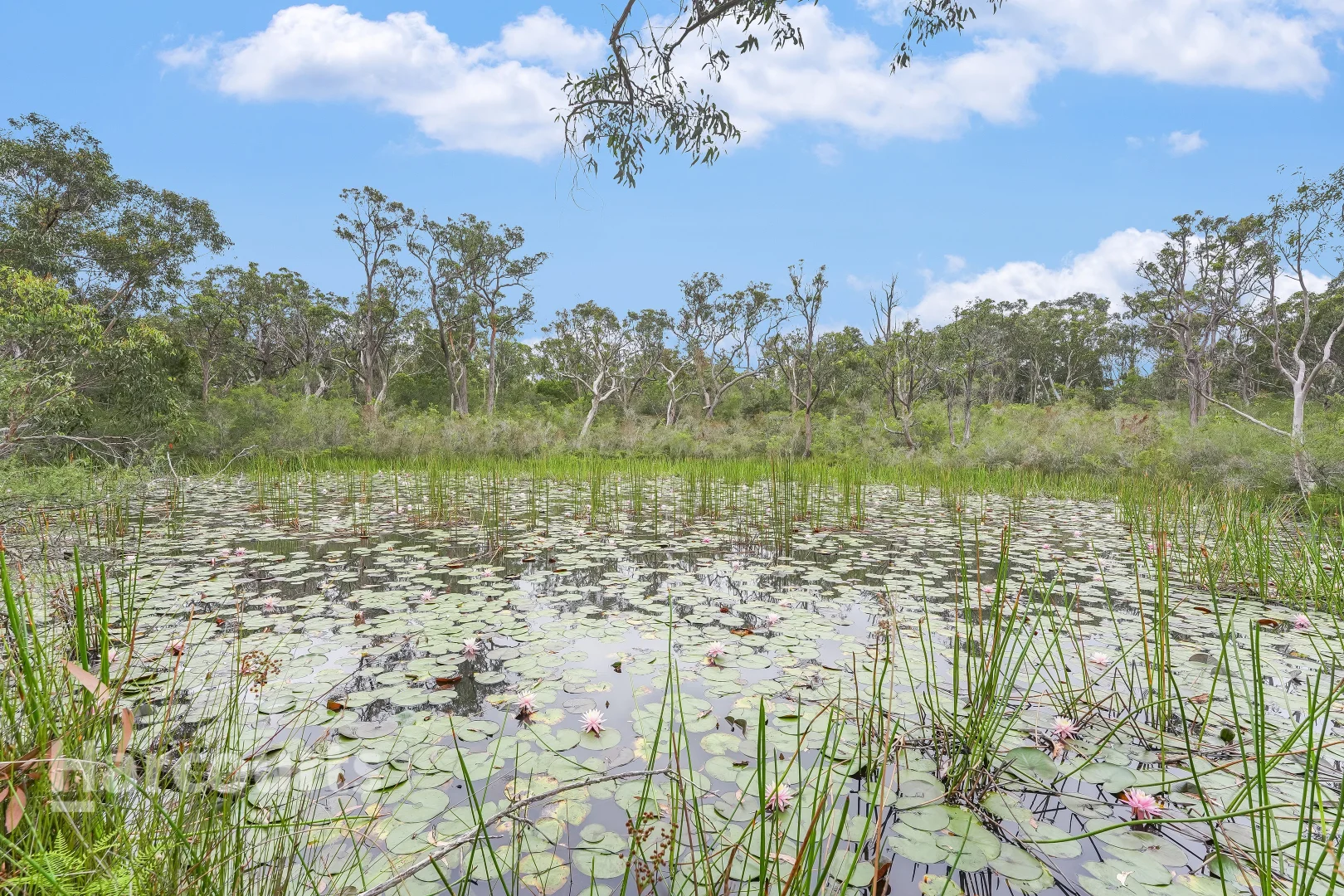 Additional image 21 of 49 Lysaght Road, Wedderburn NSW 2560