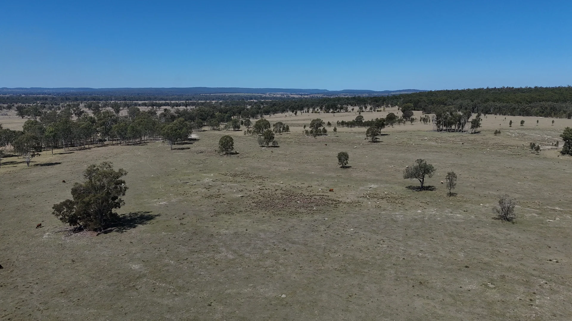 Additional image 14 of 25731 Burnett Highway, Cynthia QLD 4627