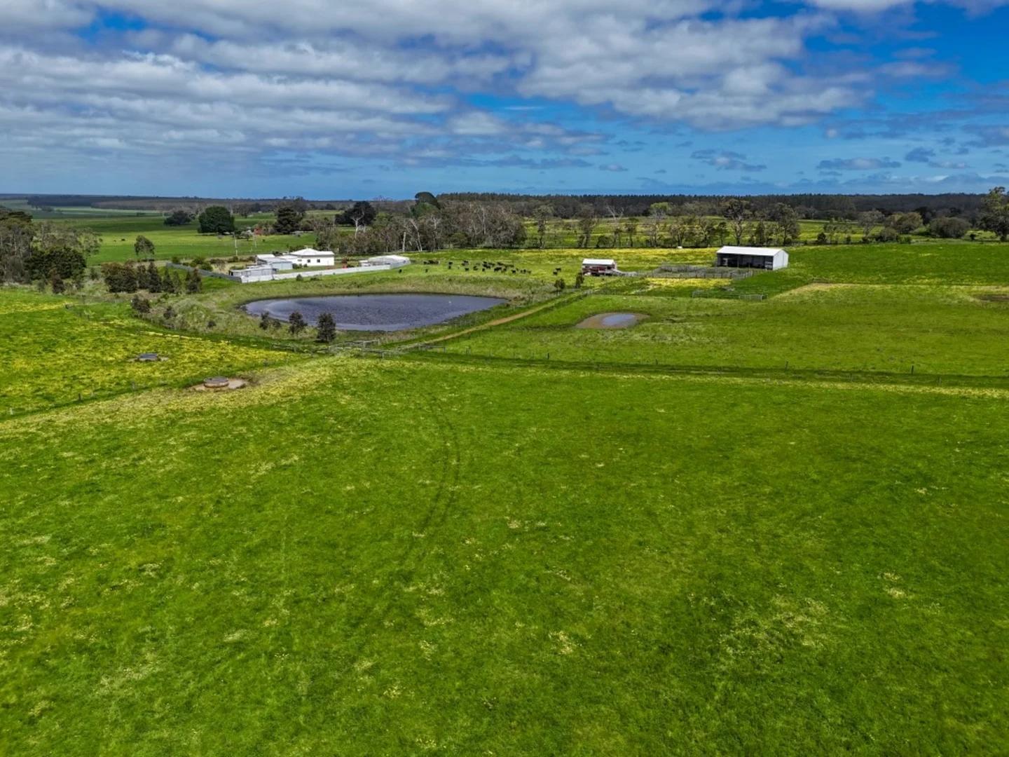 Additional image 17 of 830 Condah-Ettrick Road, Milltown VIC 3304