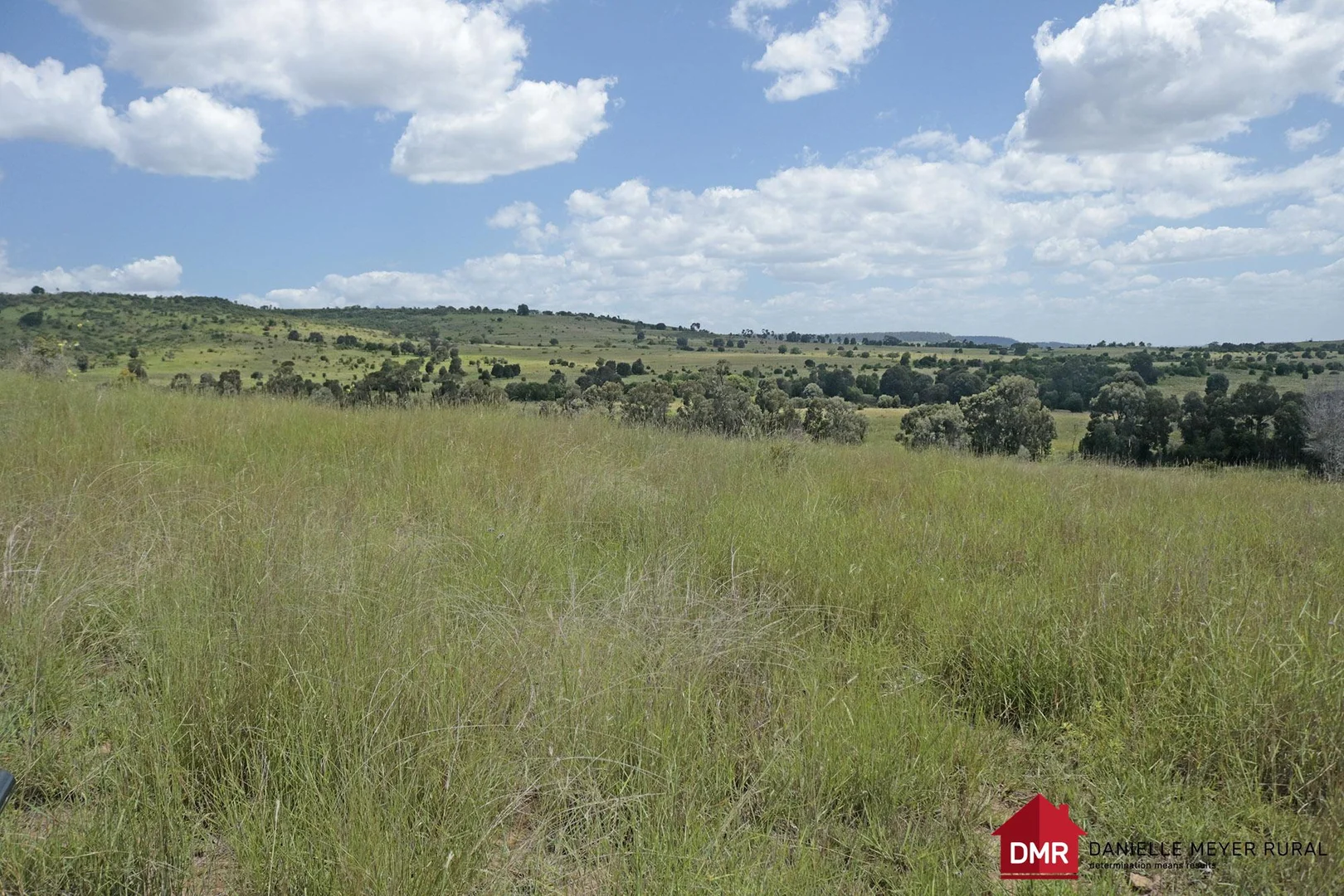 Additional image 20 of 205 Dempsters Road,, Binjour QLD 4625