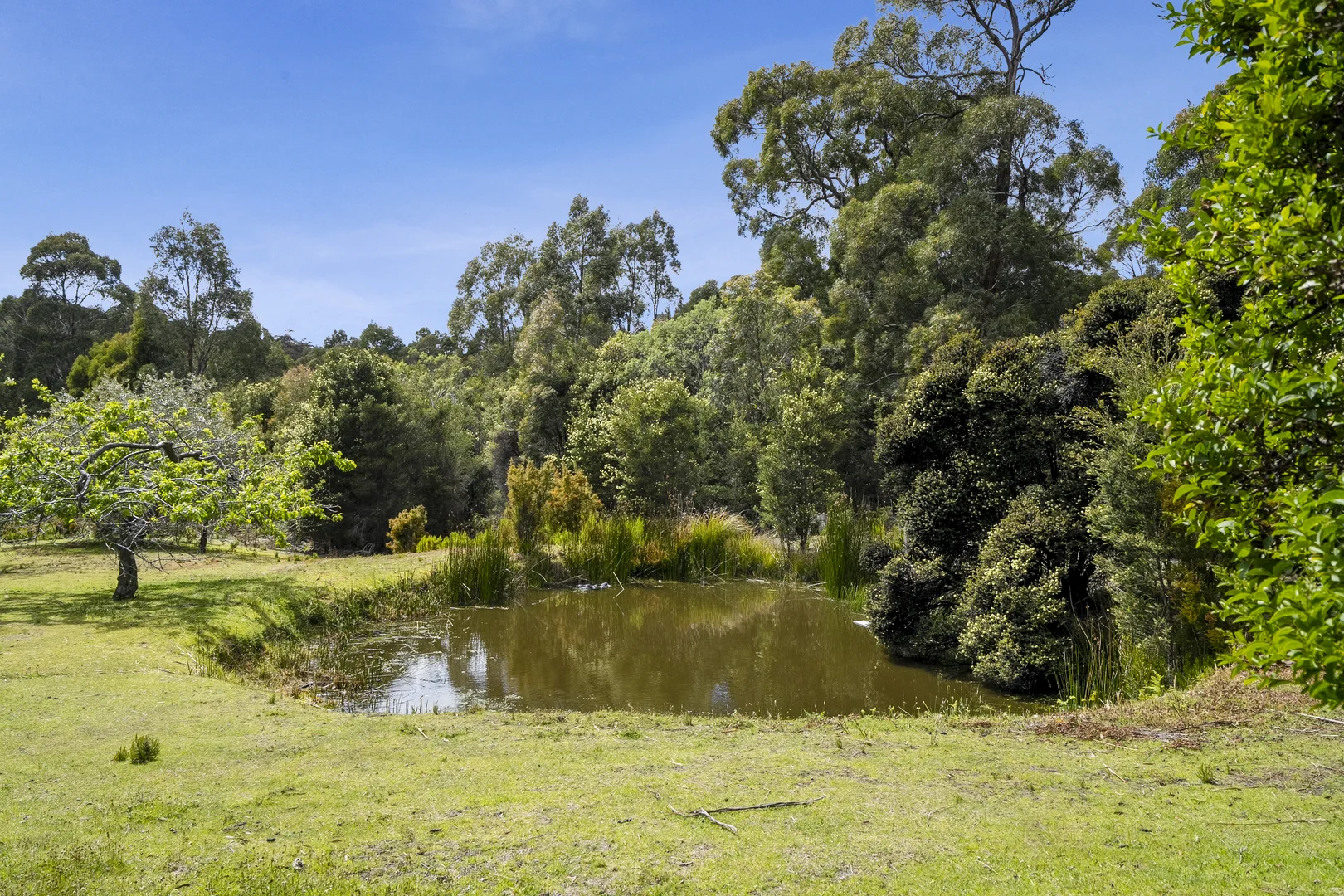 Additional image 24 of 4 Radnors Road, Port Arthur TAS 7182