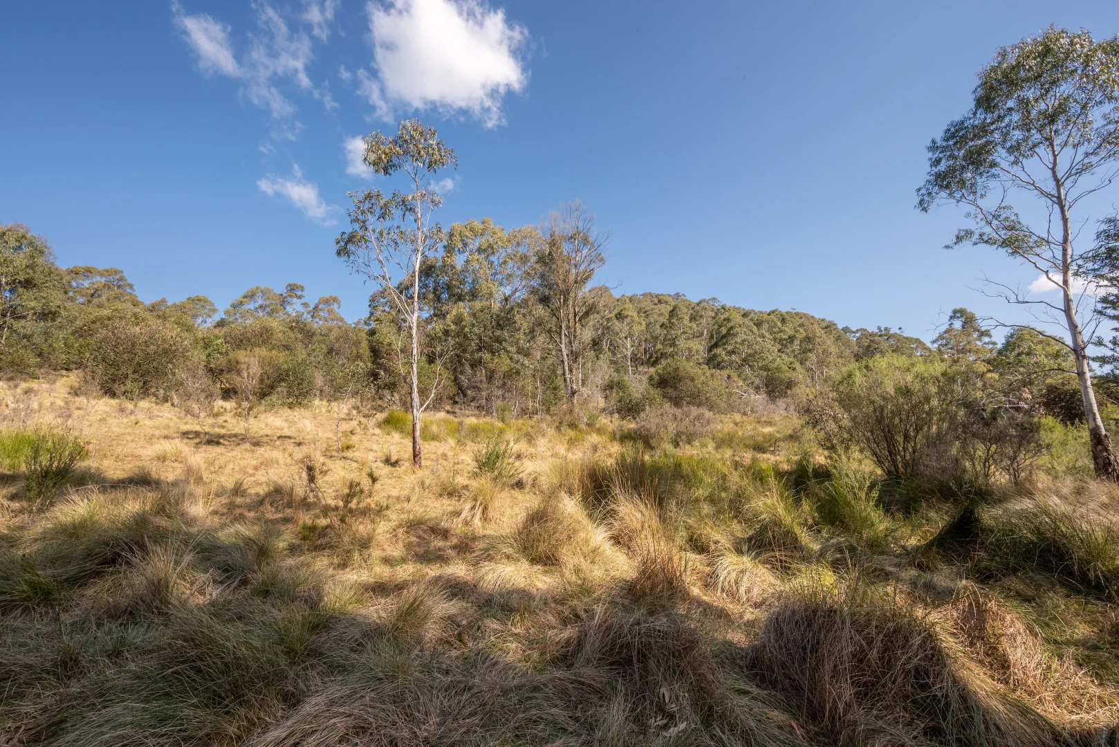 Additional image 31 of 153 Blue Bush Road, Wyanbene NSW 2622