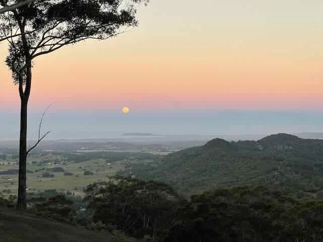 Additional image 10 of 150 Koonyum Range Road, Wilsons Creek NSW 2482