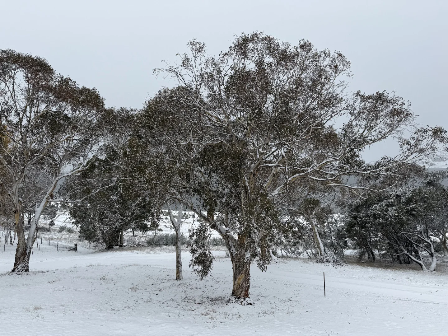 Additional image 24 of 3 Rainbow Street, Old Adaminaby NSW 2629