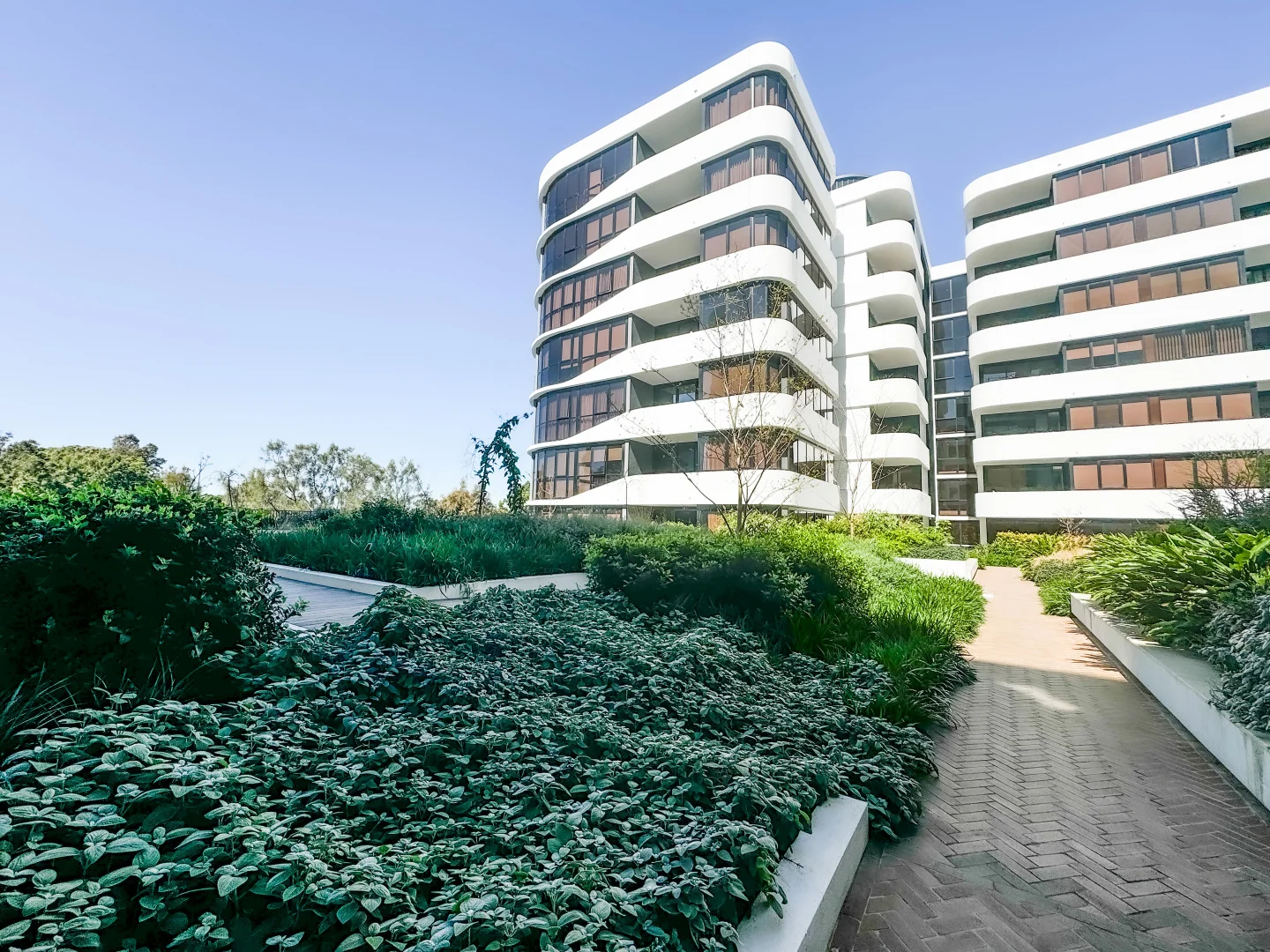 Additional image 10 of Allawah NSW 2218