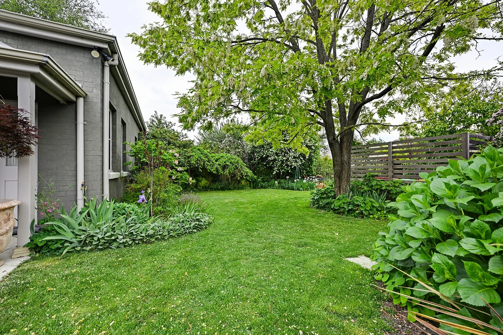 Additional image 4 of 61 Sampson Street, Orange NSW 2800