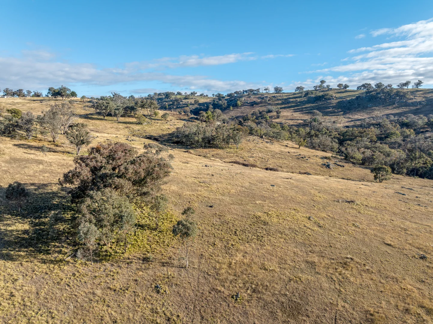 Additional image 10 of 498 (LOT A) Decca Road, Bigga NSW 2583