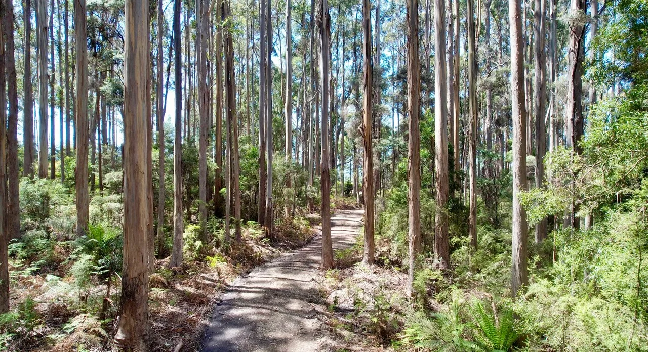 Additional image 5 of Lot 2 Lookout Road, Port Arthur TAS 7182