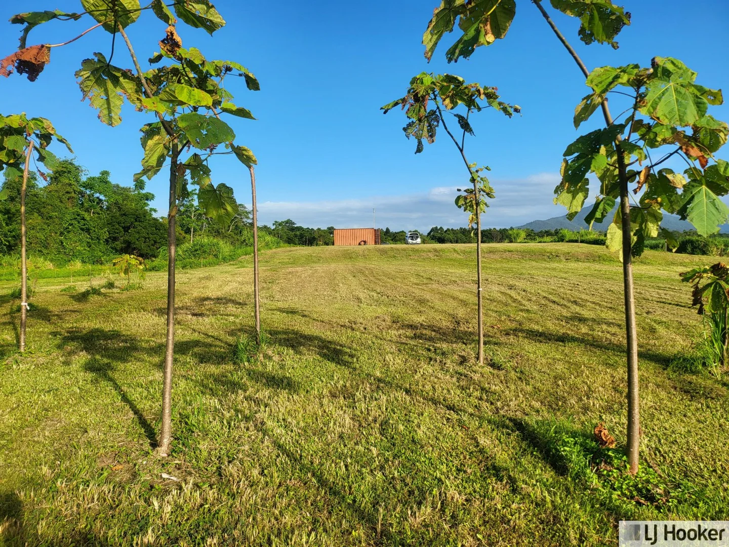 Additional image 6 of Lot 9 Andy Sorbello Road, Silky Oak QLD 4854