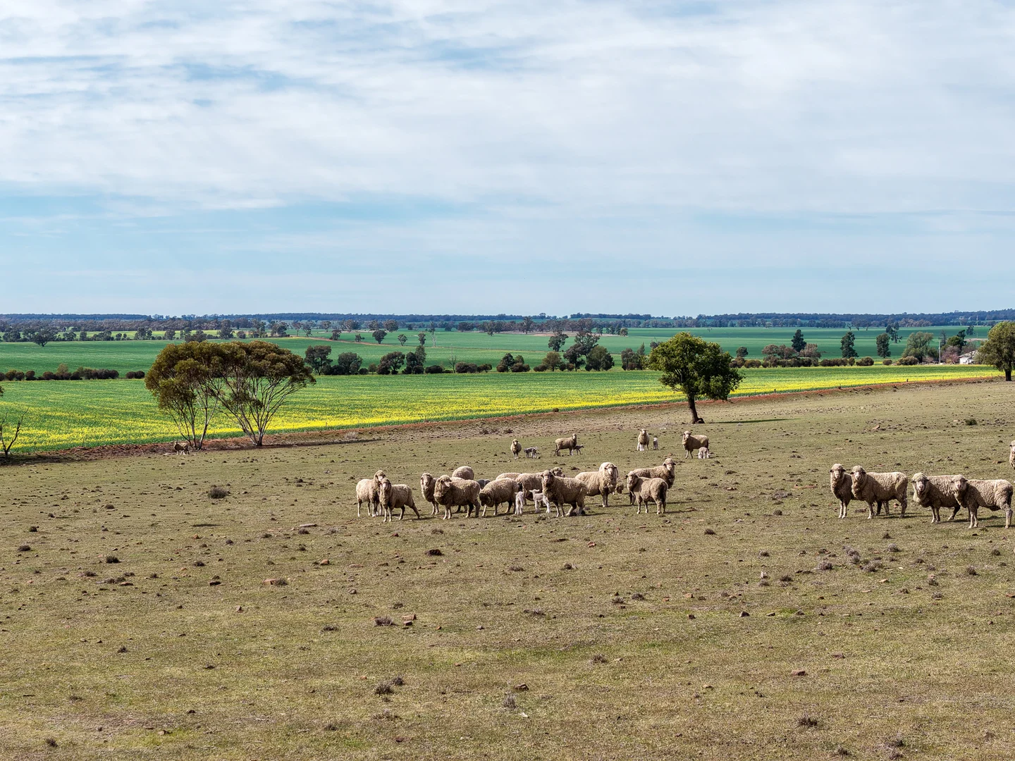 Additional image 32 of Weise Aggregation, Beckom, Ardlethan,, Ariah Park NSW 2665