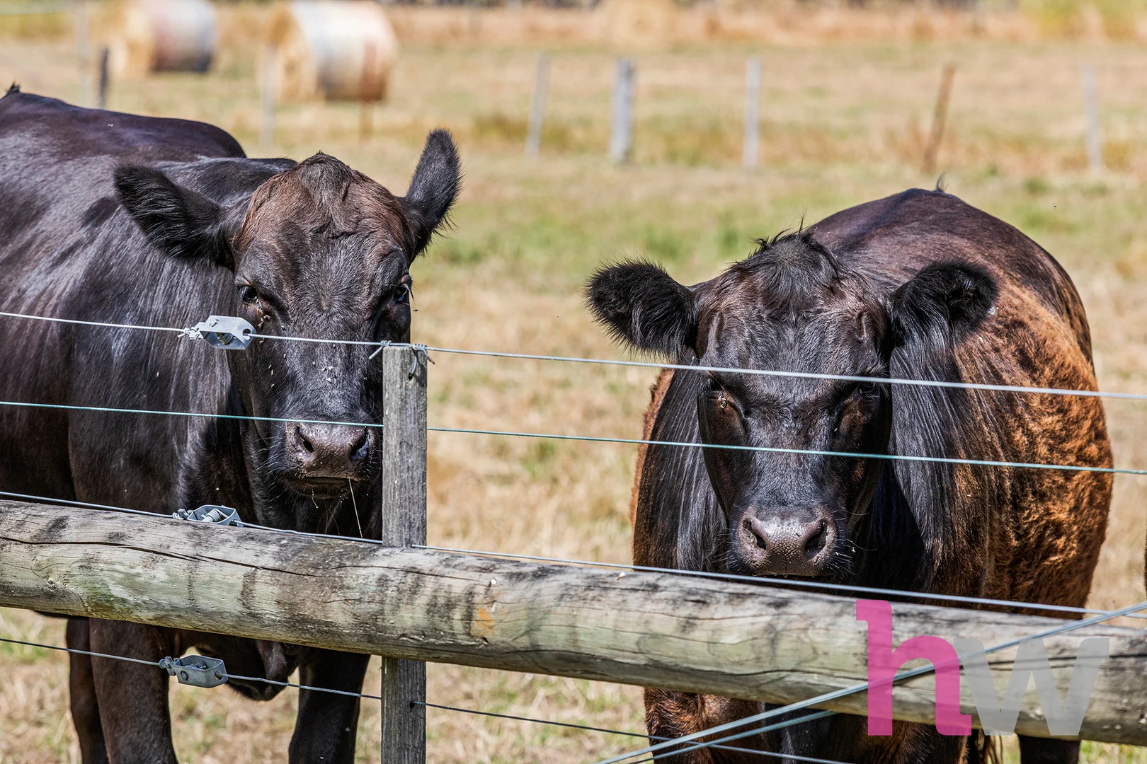 Additional image 24 of 20 Swabys Lane, Winchelsea VIC 3241