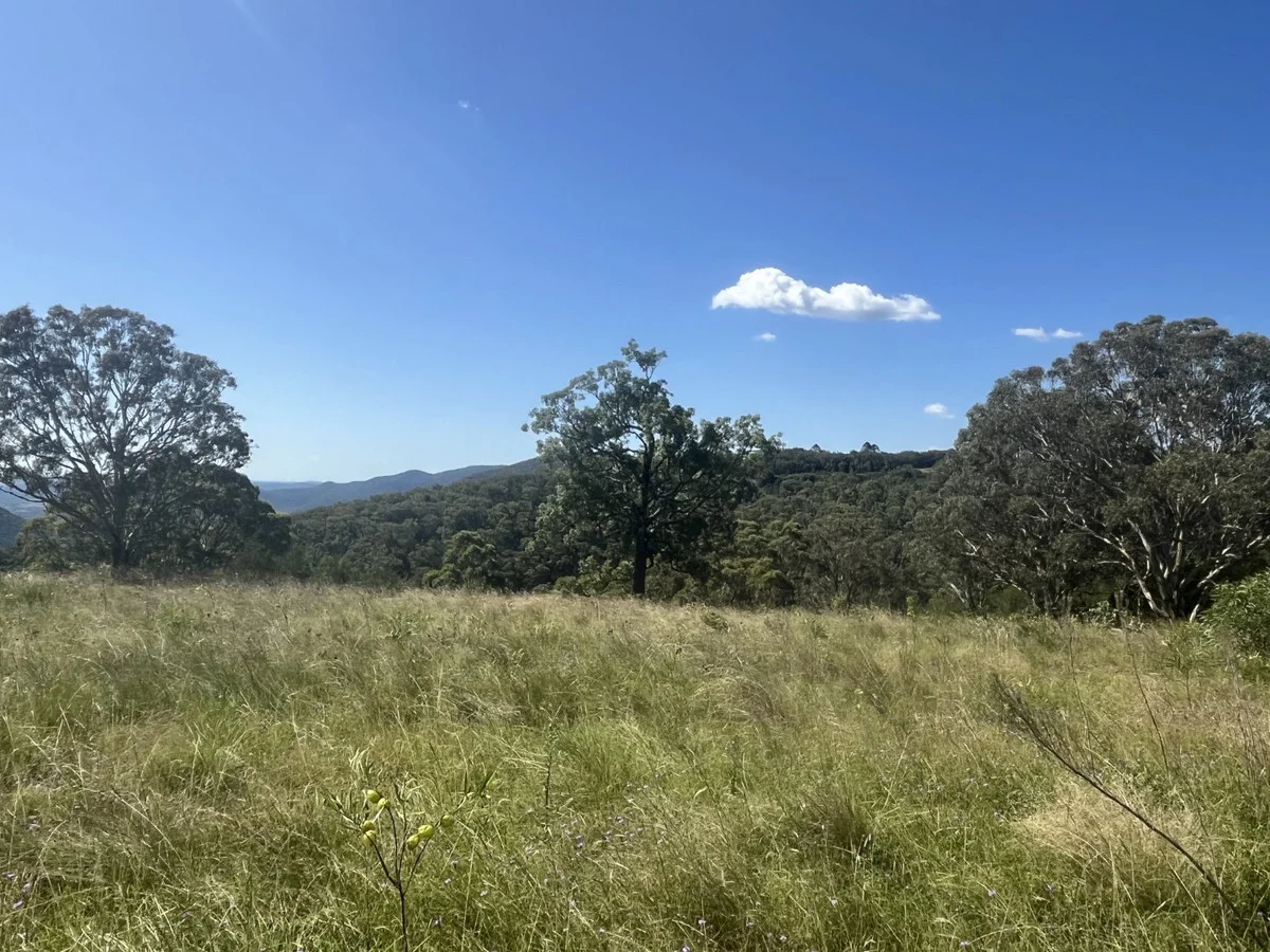 Additional image 11 of Lot 1 Dormans Gully, Bunya Mountains QLD 4405