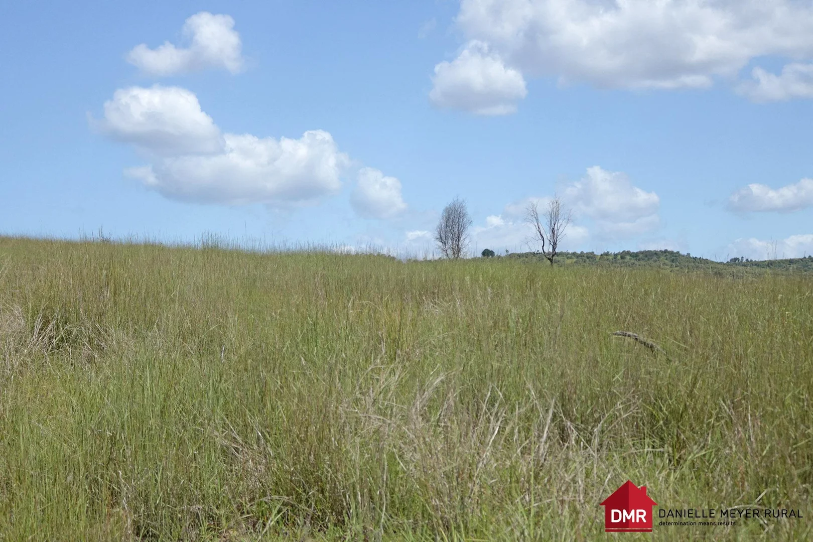 Additional image 26 of 205 Dempsters Road,, Binjour QLD 4625