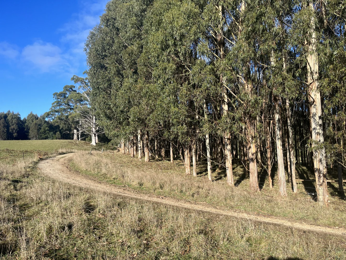 Additional image 8 of . Powers Road, Pyengana TAS 7216