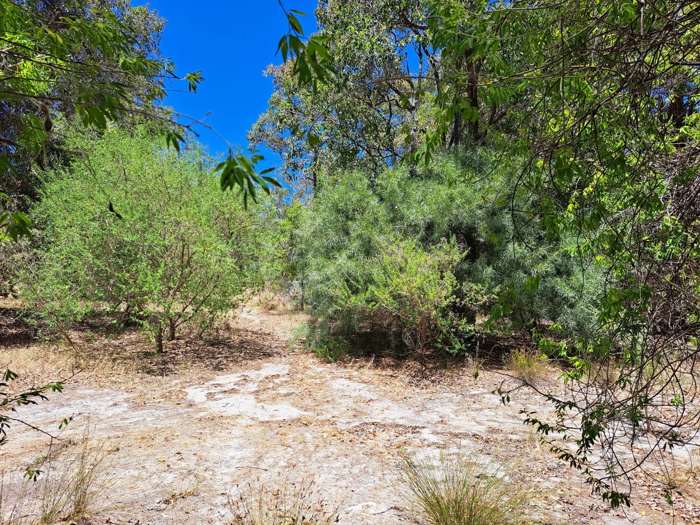 Additional image 3 of 102 Willcox Street, Chidlow WA 6556