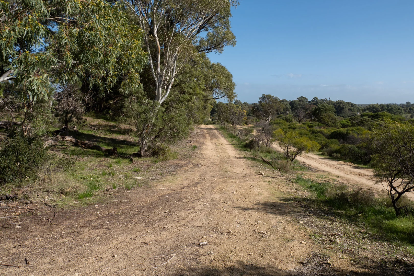 Additional image 14 of 1859 Mandurah Road, Karnup WA 6176