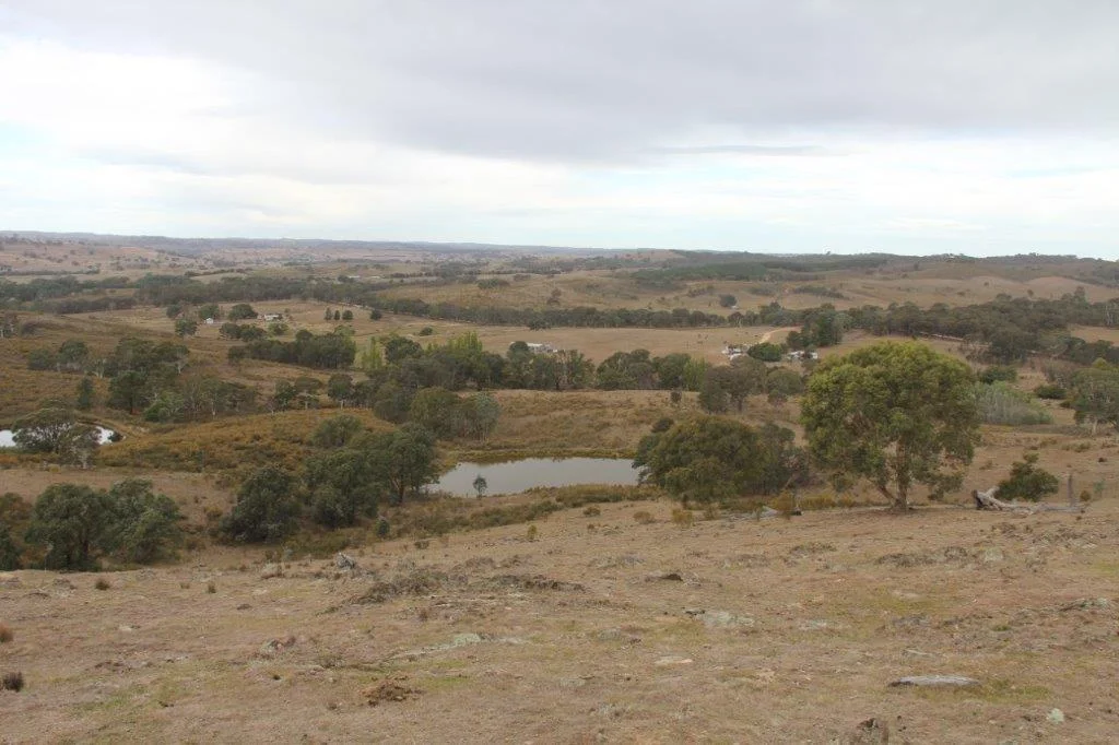 Additional image 9 of 2137 Kiowarrah Road, Bevendale NSW 2581