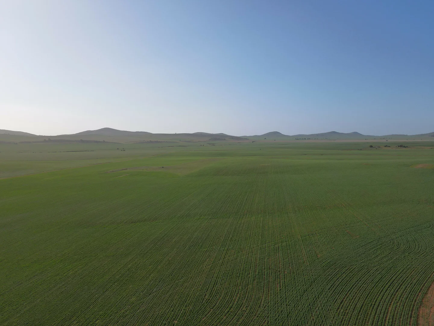 Additional image 5 of 274E Melrose Road, Pekina SA 5431