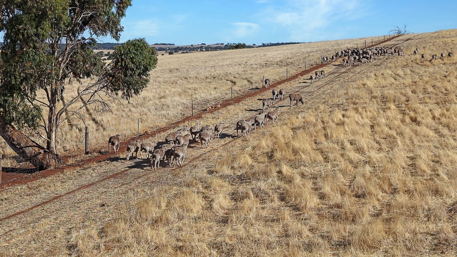 Additional image 23 of 83 Kelly Road, Undalya SA 5451