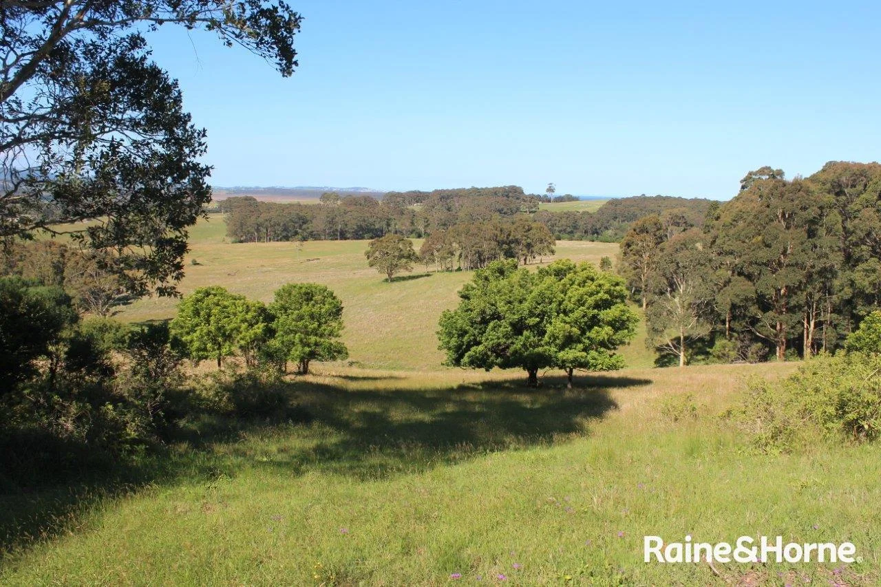 Additional image 14 of Lot 2 Bryces Road, Far Meadow NSW 2535