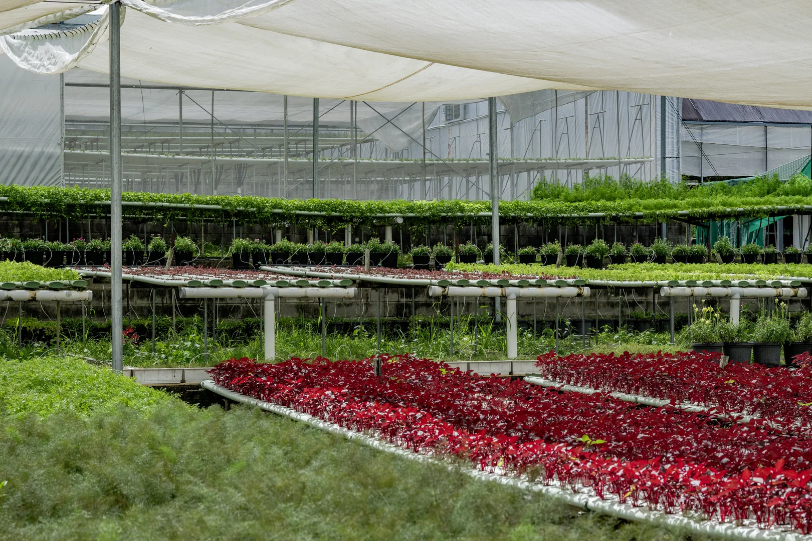 Additional image 41 of 44 Glen Nathan Court, Mount Nathan QLD 4211