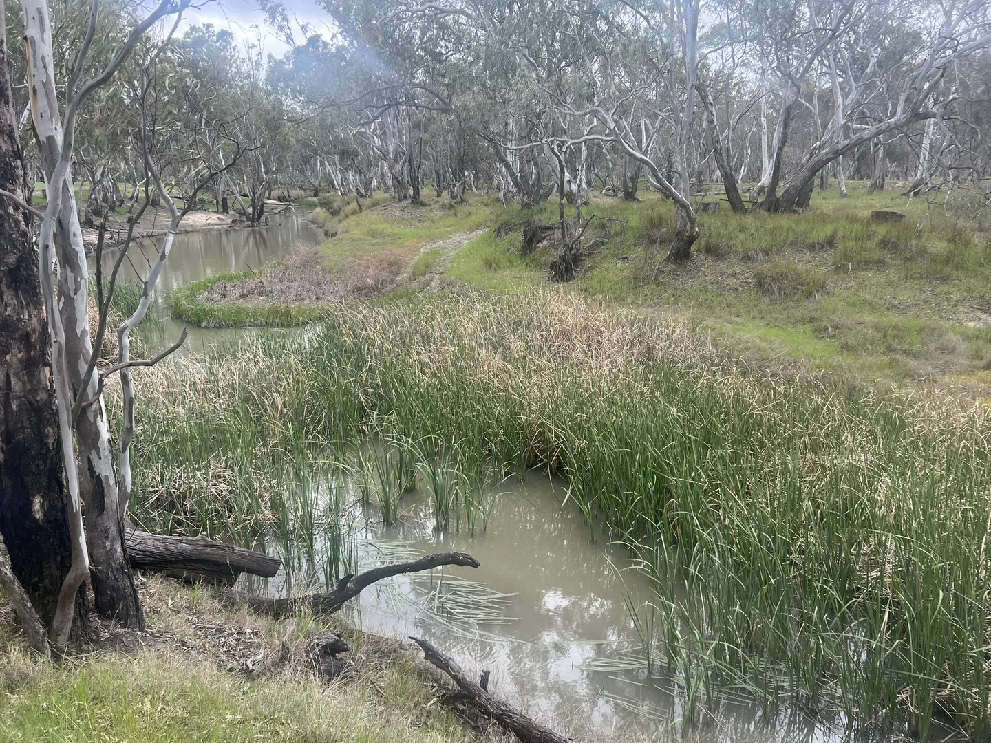 Additional image 3 of Lot 1 Lanes Avenue, Quantong VIC 3401