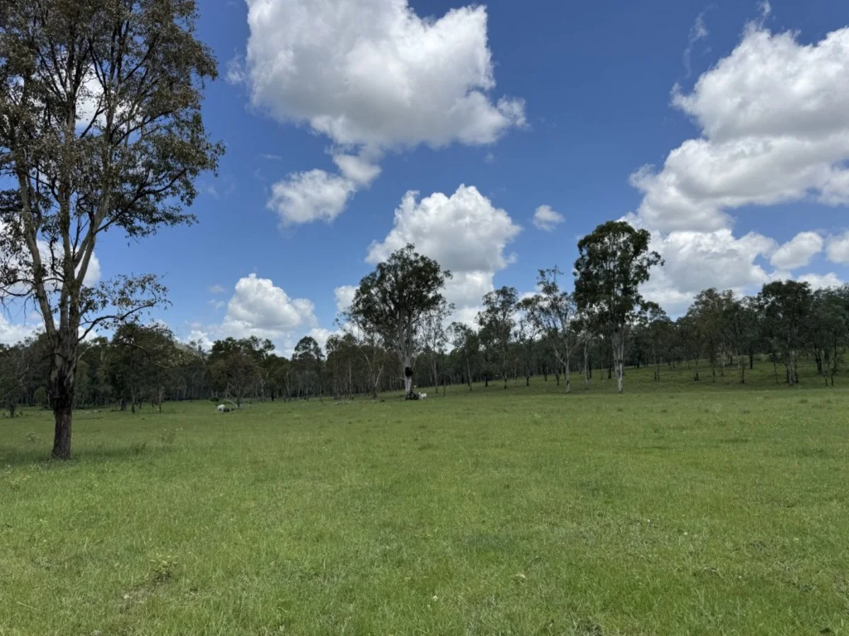 Additional image 38 of 2655 Clonmel Road, Monto QLD 4630