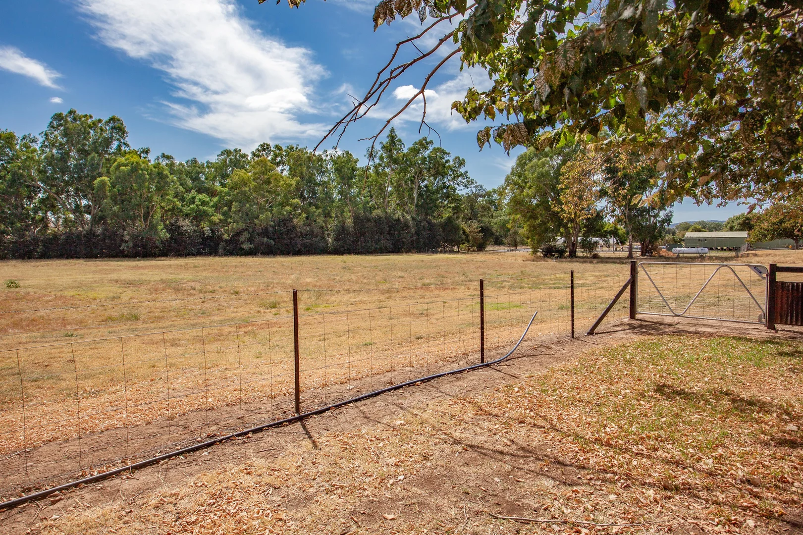 Additional image 19 of 15 Falls Road, Wellington NSW 2820