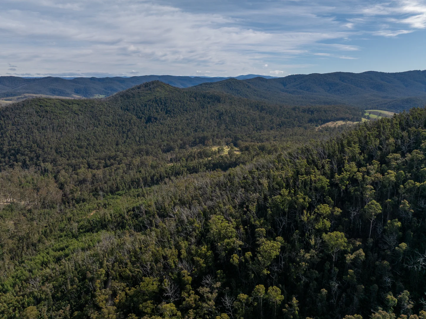 Additional image 2 of 3954 Tulloch Ard Road, Buchan VIC 3885