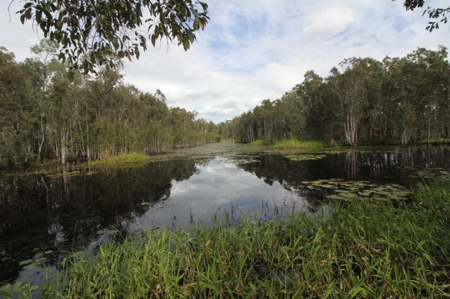 Additional image 23 of 310 MOLLENHAGENS ROAD, Winfield QLD 4670