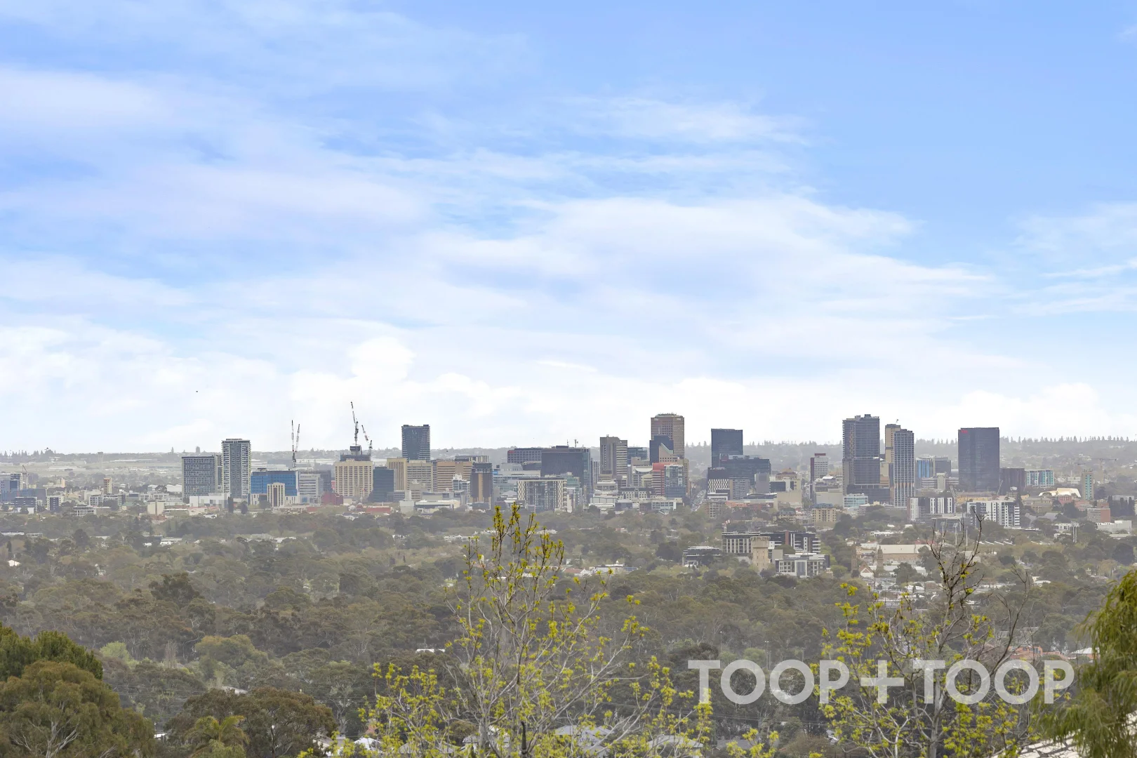 Additional image 24 of 19 Pellew Avenue, Auldana SA 5072