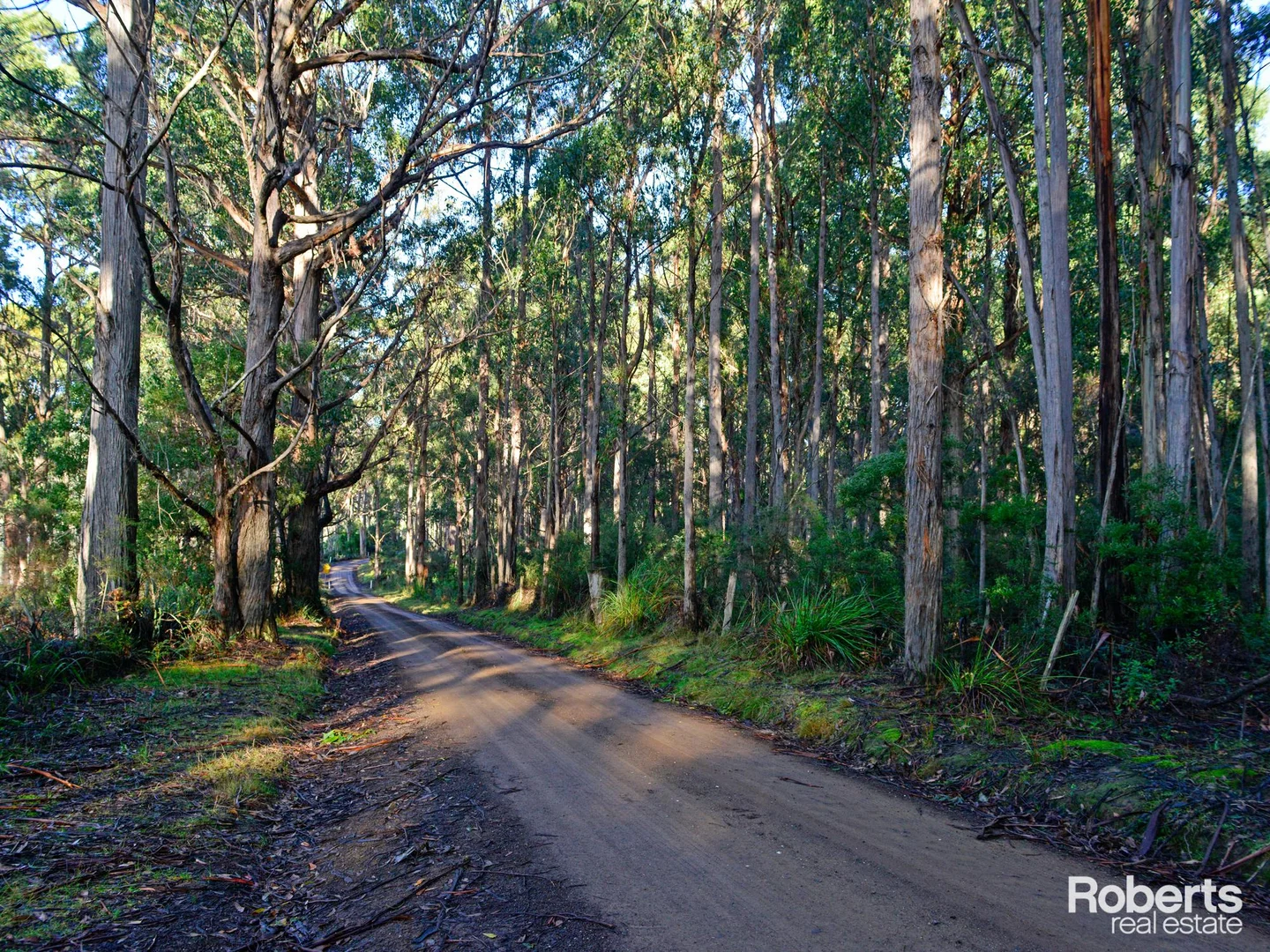 Additional image 12 of Lot 1 Lady Bay Road, Southport TAS 7109