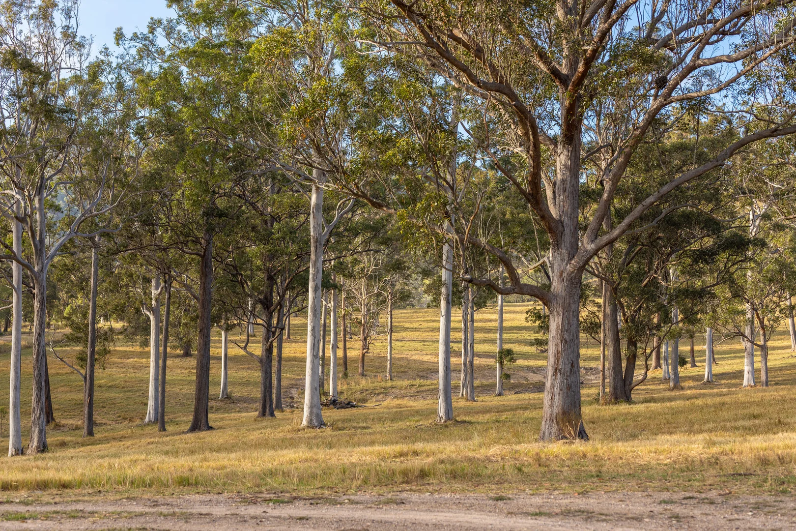 Additional image 9 of 152 Red Gully Road, Burrell Creek NSW 2429