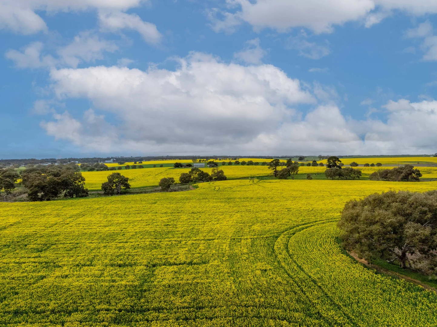 Additional image 2 of 400 Daly Road, Skipton VIC 3361