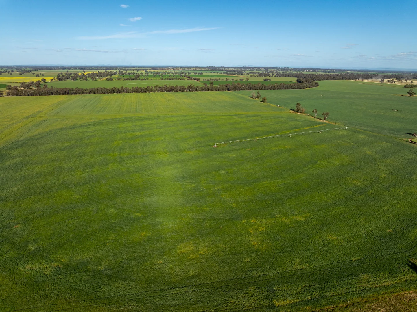 Additional image 2 of 1623 Redlands Road, Ringwood NSW 2646