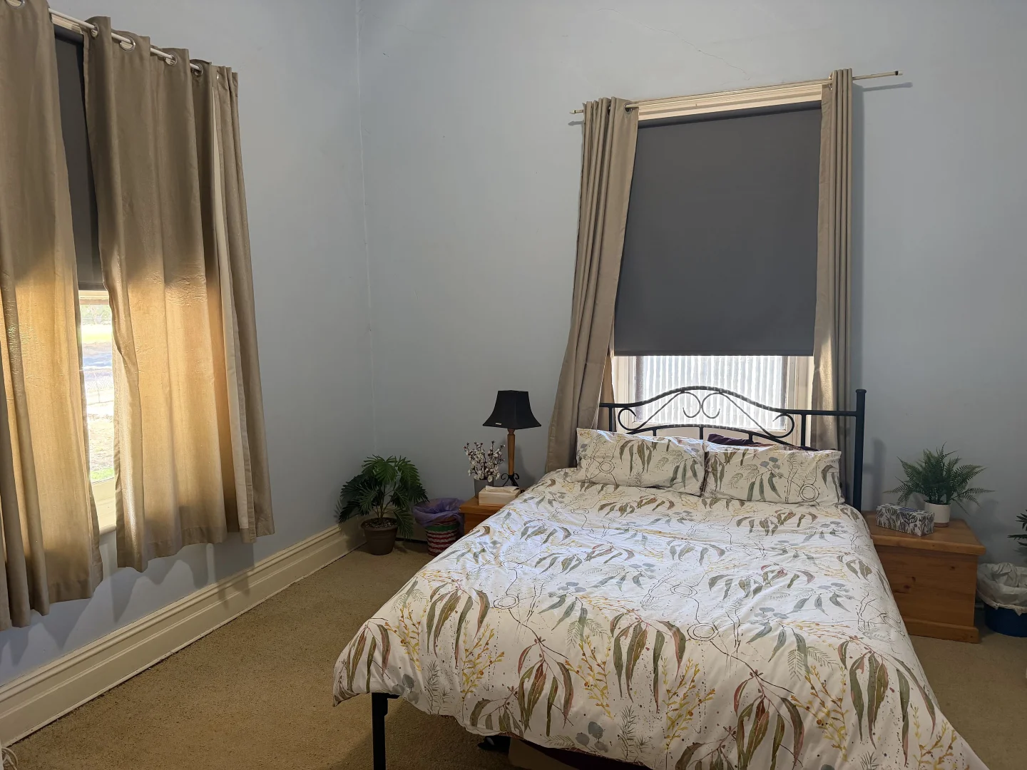 Additional image 6 of 121-123 Main St, Brinkworth SA 5464